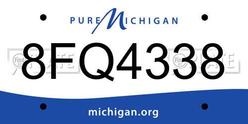 8FQ4338 Michigan License Plate