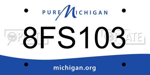8FS103 Michigan License Plate