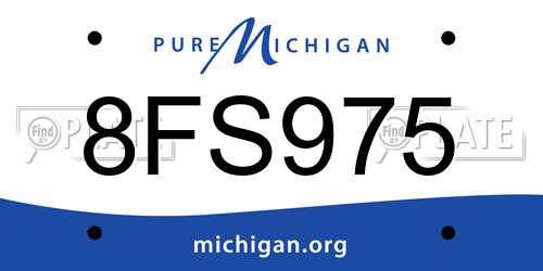 8FS975 Michigan License Plate