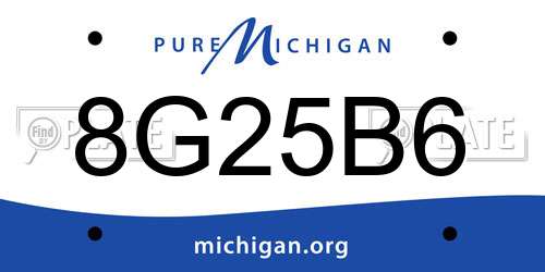 8G25B6 Michigan License Plate