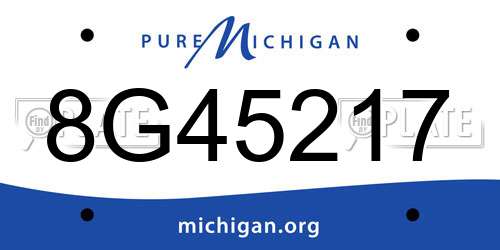 8G45217 Michigan License Plate