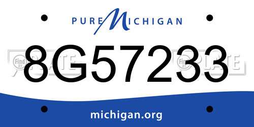 8G57233 Michigan License Plate