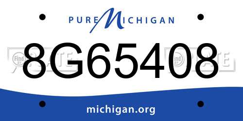 8G65408 Michigan License Plate