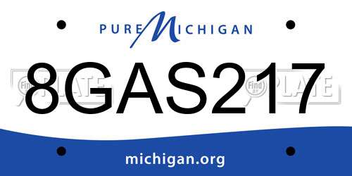 8GAS217 Michigan License Plate
