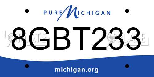 8GBT233 Michigan License Plate