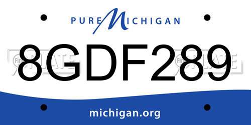 8GDF289 Michigan License Plate
