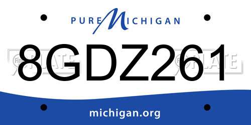 8GDZ261 Michigan License Plate