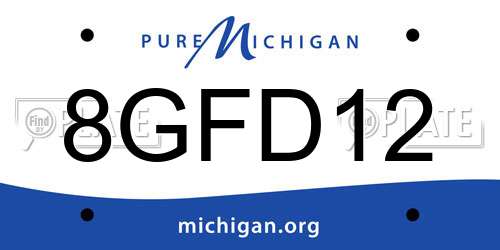 8GFD12 Michigan License Plate