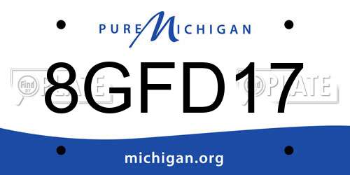 8GFD17 Michigan License Plate