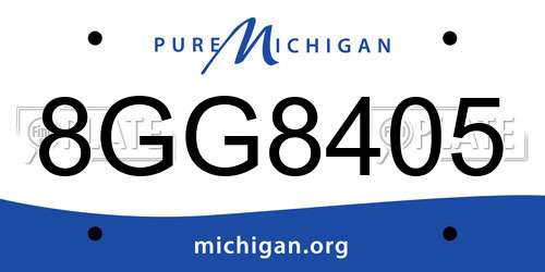 8GG8405 Michigan License Plate