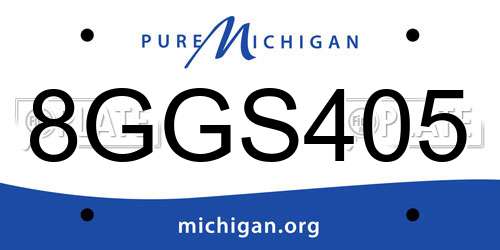 8GGS405 Michigan License Plate