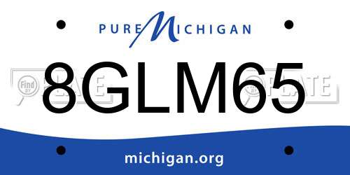 8GLM65 Michigan License Plate
