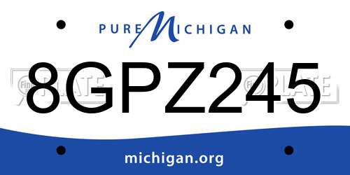 8GPZ245 Michigan License Plate