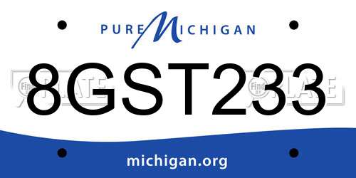 8GST233 Michigan License Plate