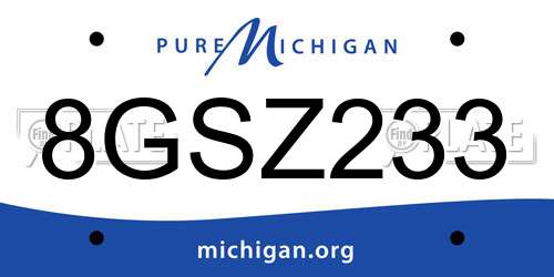 8GSZ233 Michigan License Plate