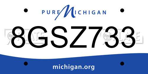 8GSZ733 Michigan License Plate