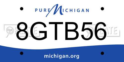 8GTB56 Michigan License Plate