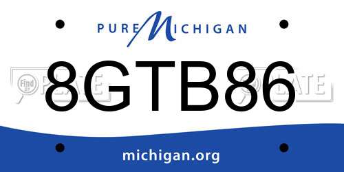 8GTB86 Michigan License Plate