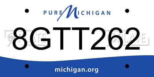 8GTT262 Michigan License Plate