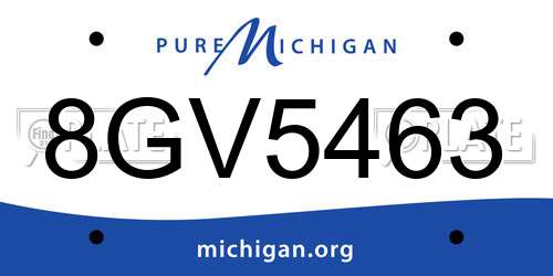 8GV5463 Michigan License Plate