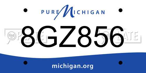 8GZ856 Michigan License Plate