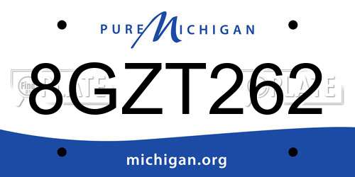 8GZT262 Michigan License Plate
