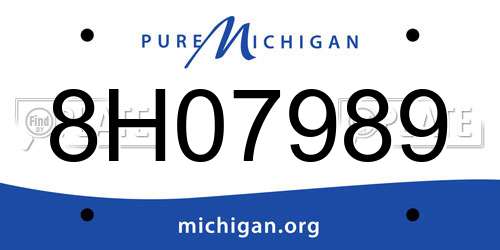 8H07989 Michigan License Plate
