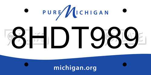 8HDT989 Michigan License Plate