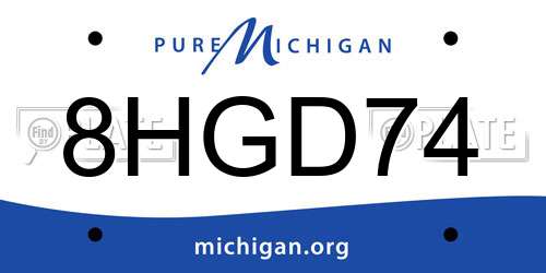 8HGD74 Michigan License Plate
