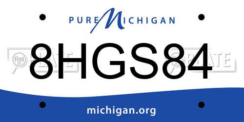 8HGS84 Michigan License Plate