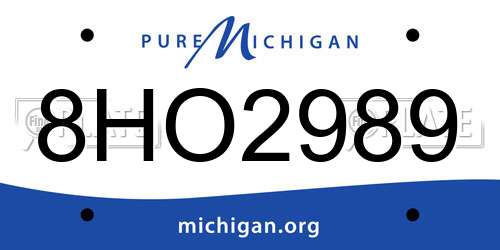 8HO2989 Michigan License Plate