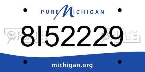 8I52229 Michigan License Plate