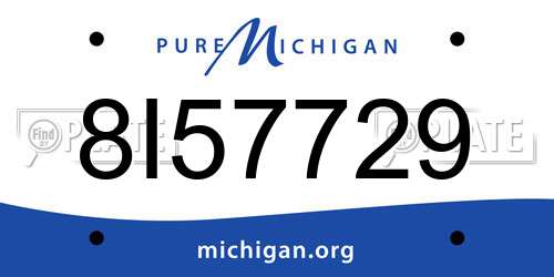 8I57729 Michigan License Plate