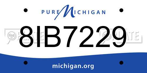 8IB7229 Michigan License Plate