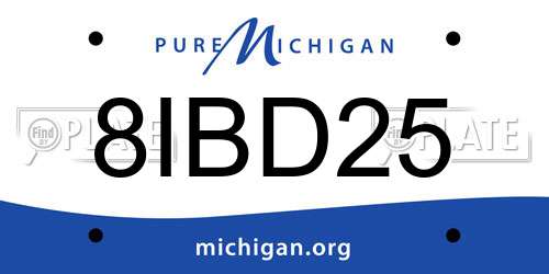 8IBD25 Michigan License Plate