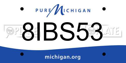 8IBS53 Michigan License Plate