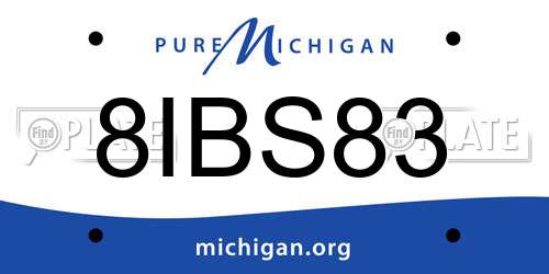 8IBS83 Michigan License Plate
