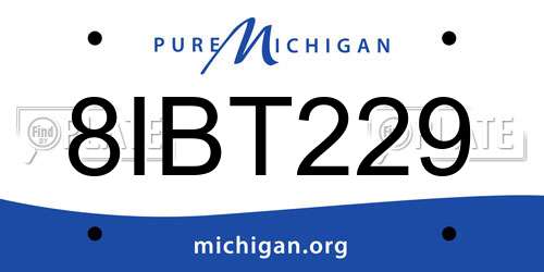 8IBT229 Michigan License Plate