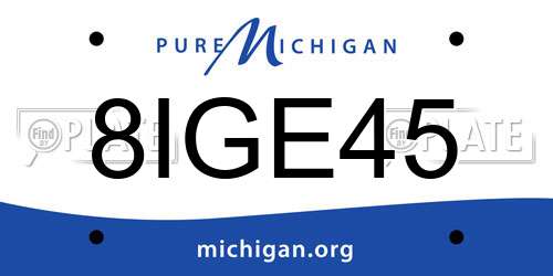 8IGE45 Michigan License Plate