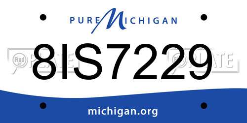 8IS7229 Michigan License Plate