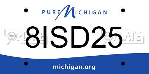 8ISD25 Michigan License Plate