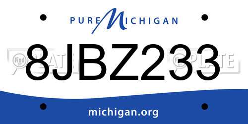8JBZ233 Michigan License Plate