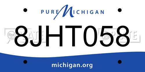 8JHT058 Michigan License Plate