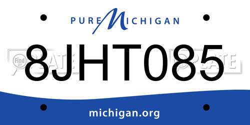 8JHT085 Michigan License Plate