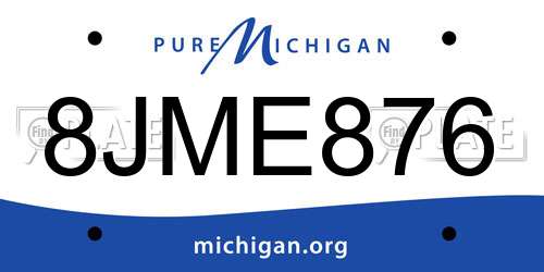 8JME876 Michigan License Plate
