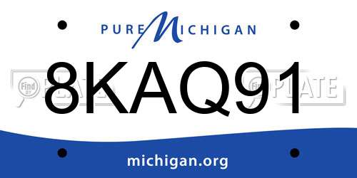 8KAQ91 Michigan License Plate