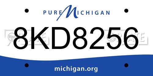 8KD8256 Michigan License Plate