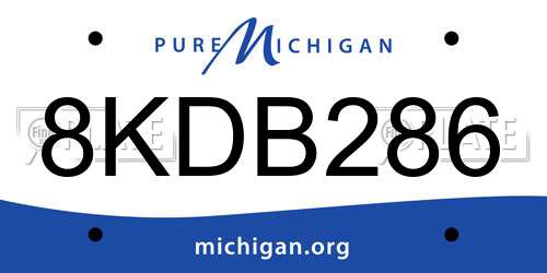 8KDB286 Michigan License Plate