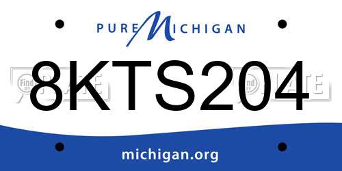 8KTS204 Michigan License Plate