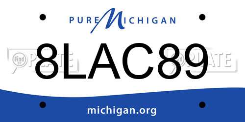 8LAC89 Michigan License Plate